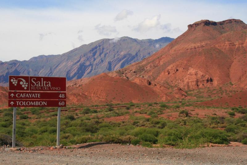 wine-route-from-salta-2