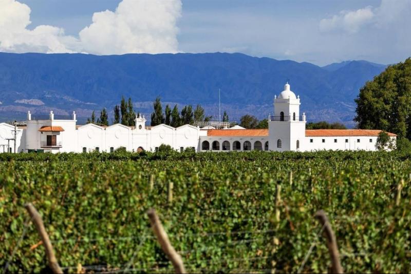 wine-route-from-salta-4