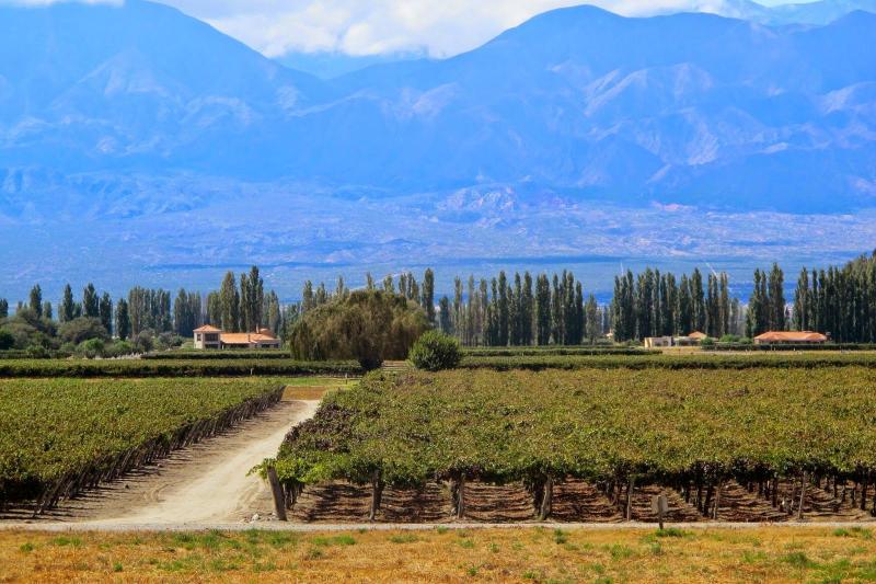 wine-route-from-salta-6