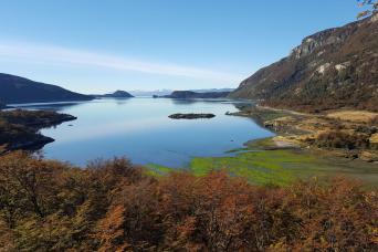 Tierra Del Fuego National Park with Lunch