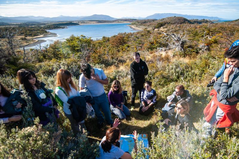 gable-island-and-penguin-watching-7
