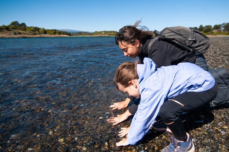 gable-island-and-penguin-watching-8