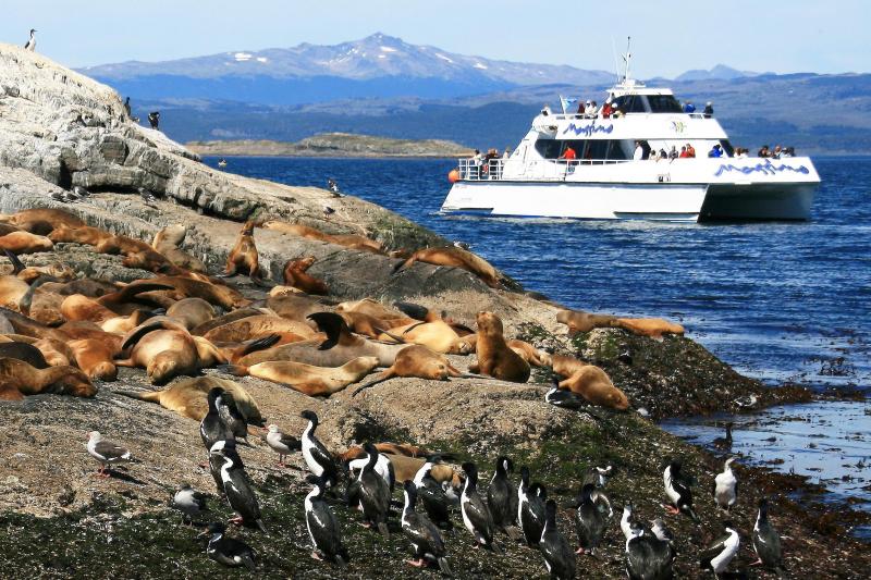 sea-lions-birds-island-boat-tour-1