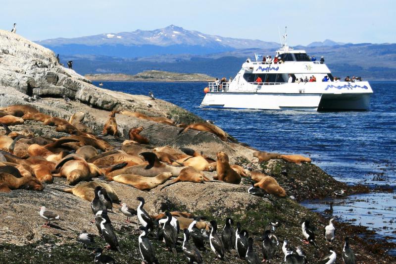 beagle-channel-yacht-sailing-2