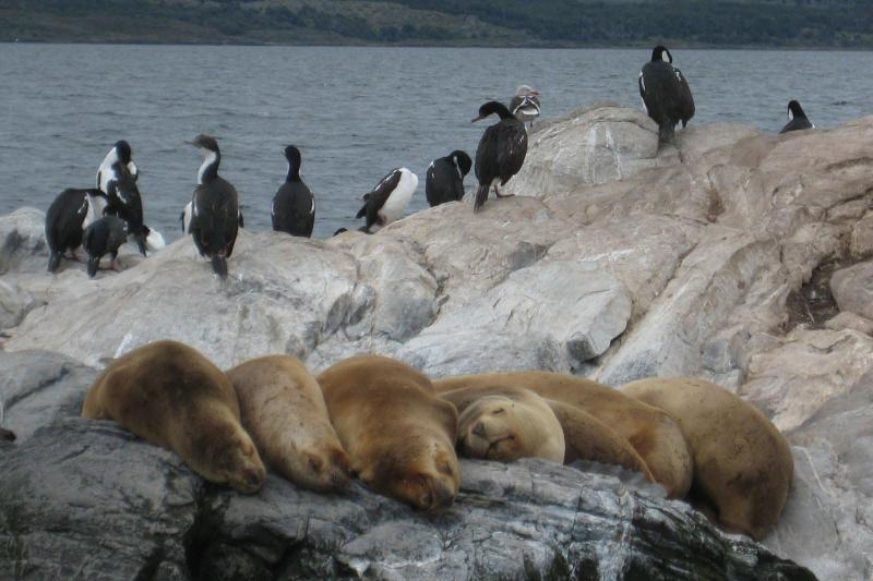 beagle-channel-yacht-sailing-3