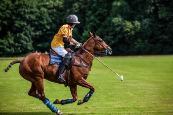 Full-Day Polo Experience with Exhibition Match