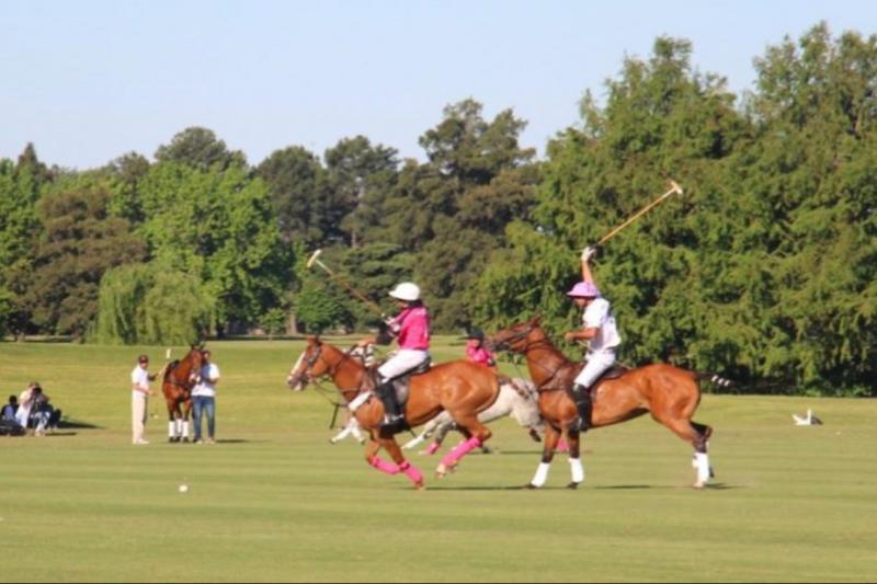 full-day-polo-experience-with-exhibition-match-4