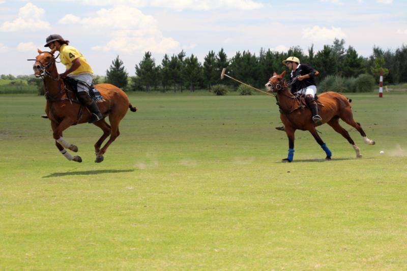 full-day-polo-experience-with-exhibition-match-5