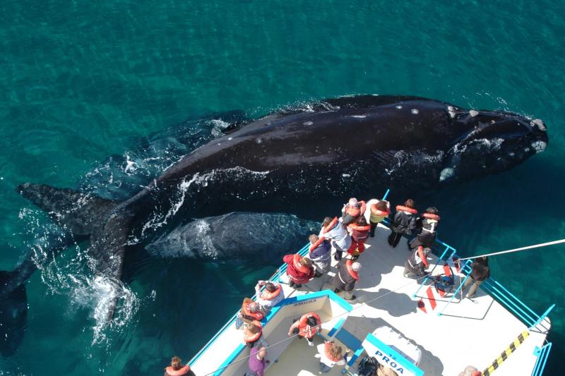 20-day-complete-patagonia-iguazu-tour-1