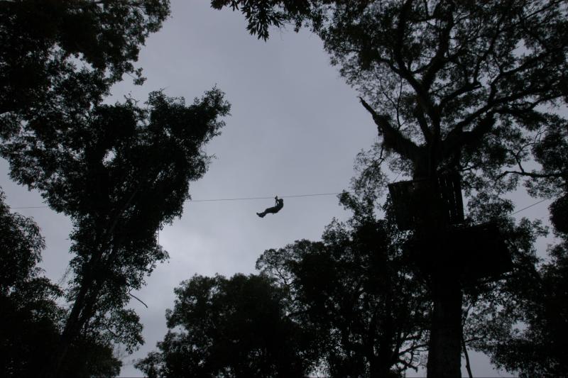 iguazu-forest-tour-3