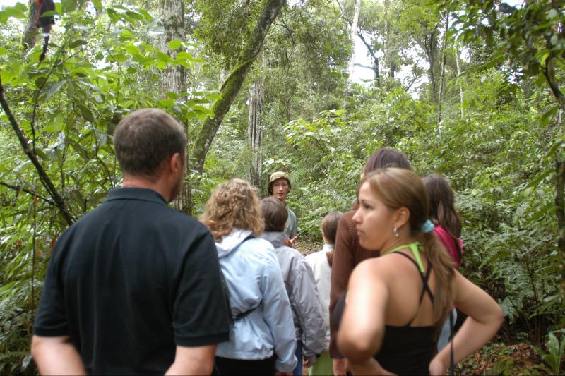 iguazu-forest-tour-5