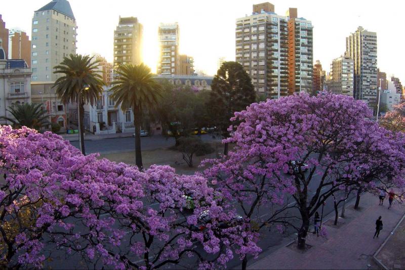 cordoba-sightseeing-tour-jesuit-legacy-6