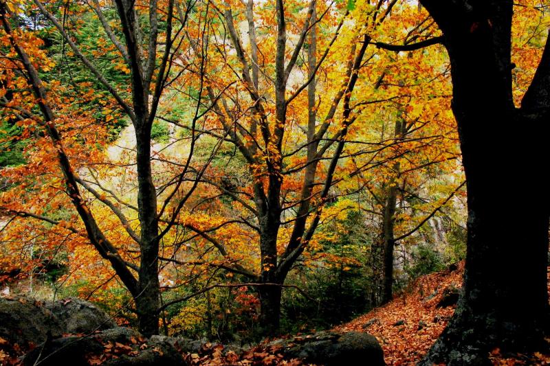 full-day-la-cumbrecita-tour-from-cordoba-2