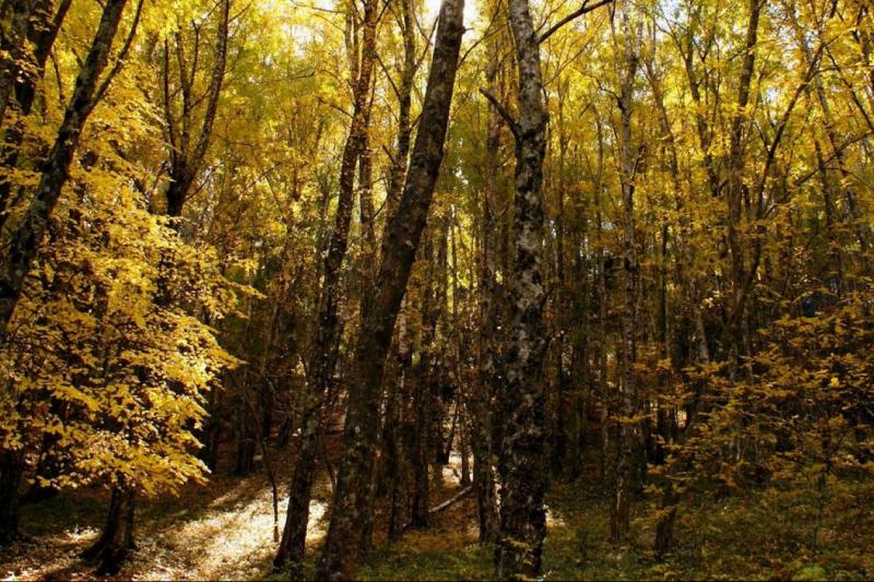 full-day-la-cumbrecita-tour-from-cordoba-6