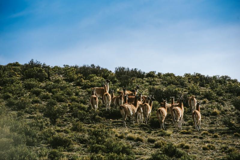 half-day-villavicencio-sightseeing-tour-5