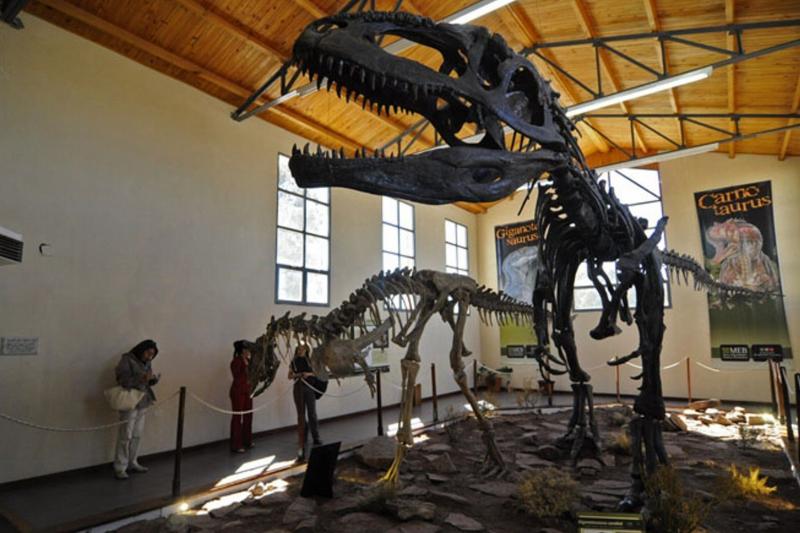 trelew-gaiman-sightseeing-tour-3