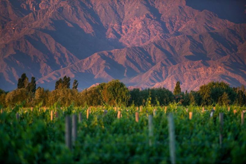 premium-cafayate-wine-route-1