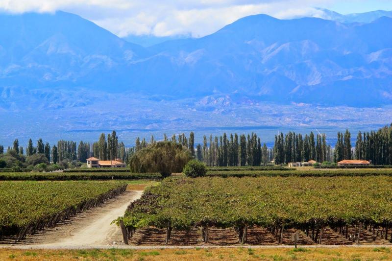 premium-cafayate-wine-route-4