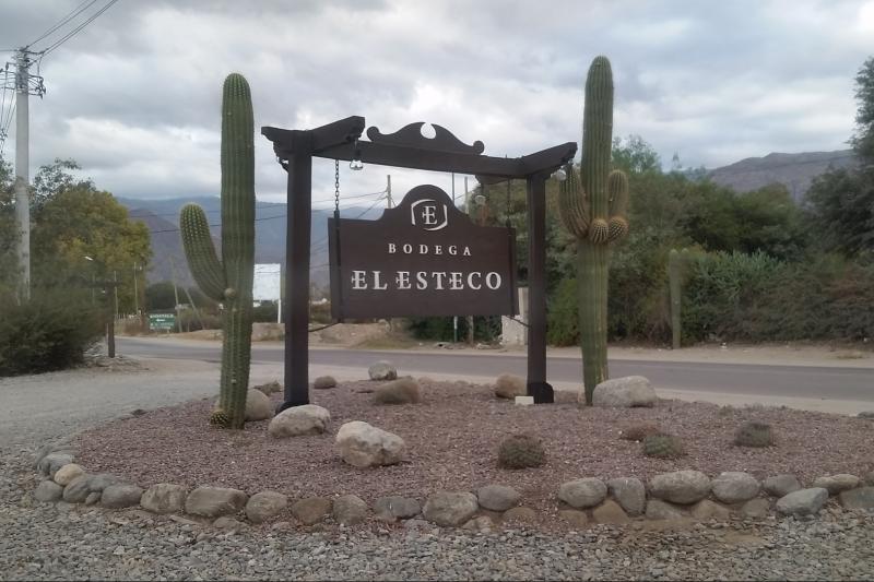 premium-cafayate-wine-route-5