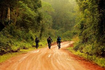 Iguazú: Yaguareté Road Bike Tour