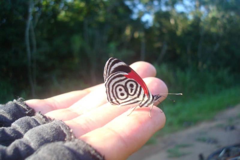 iguazu-yaguarete-road-bike-tour-4