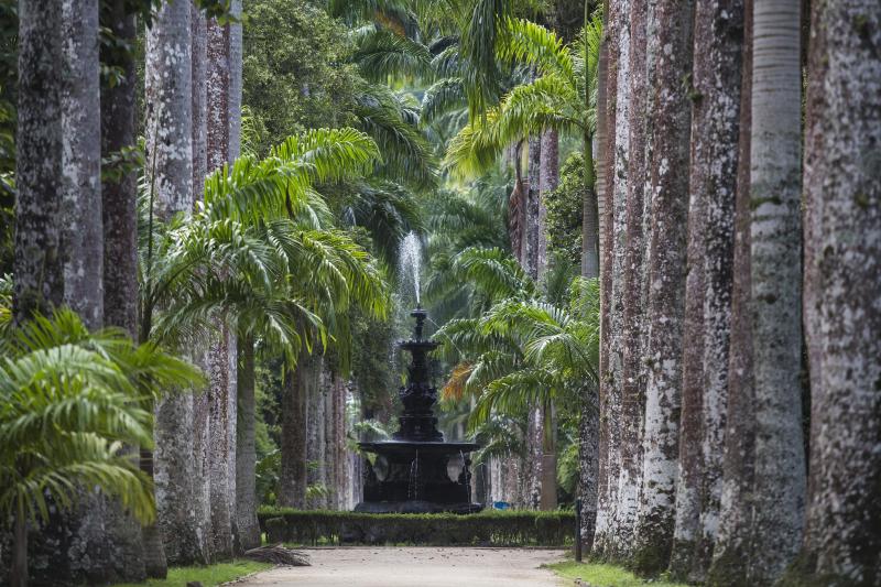 jeep-tour-botanical-garden-and-tijuca-rain-forest-1