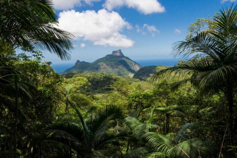 jeep-tour-botanical-garden-and-tijuca-rain-forest-2