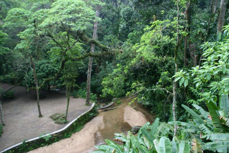 jeep-tour-botanical-garden-and-tijuca-rain-forest-4