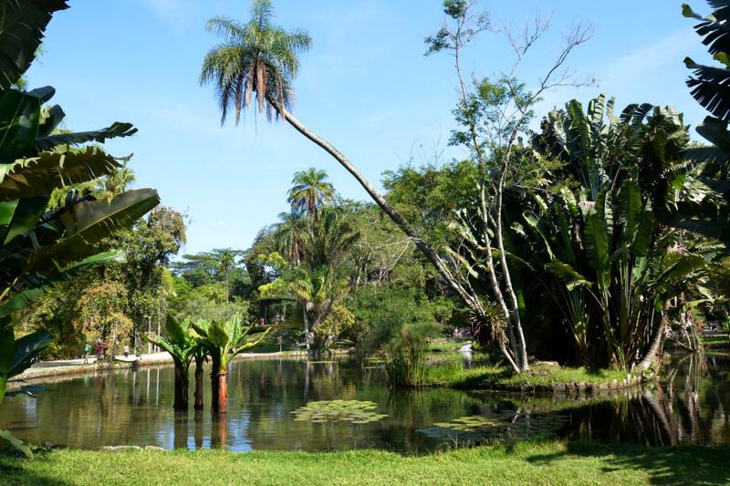 jeep-tour-botanical-garden-and-tijuca-rain-forest-6