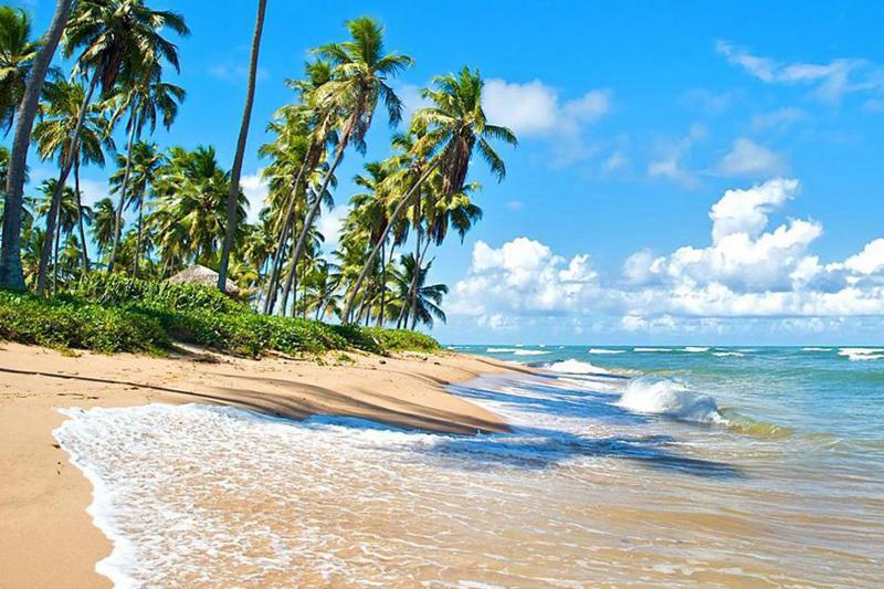 praia-do-forte-guarajuba-beach-day-trip-6