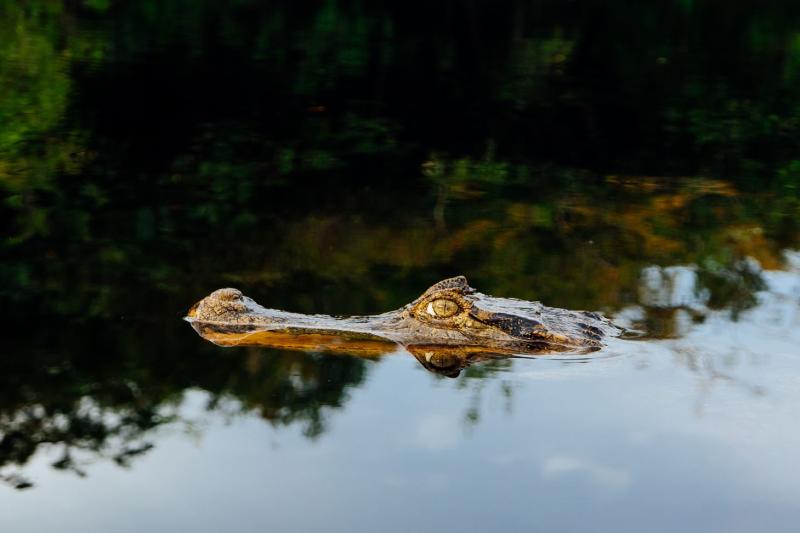 rio-de-janeiro-foz-do-iguazu-salvador-and-amazon-8