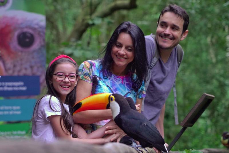 brazilian-falls-with-bird-park-10