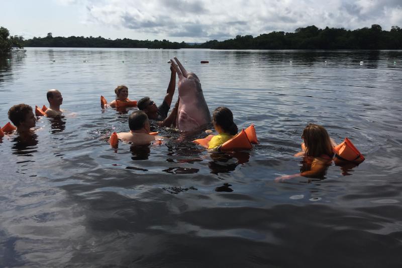 amazon-dolphins-day-tour-3