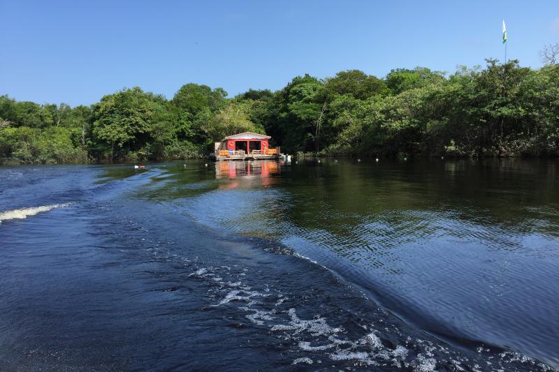 amazon-dolphins-day-tour-4