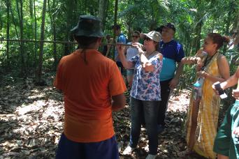 Surviving In The Jungle