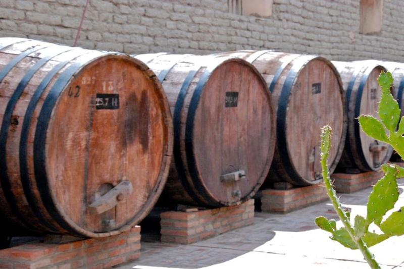 cafayate-day-tour-from-salta-8