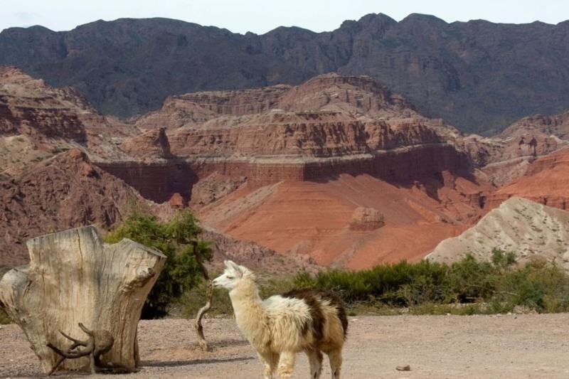 cafayate-day-tour-from-salta-9