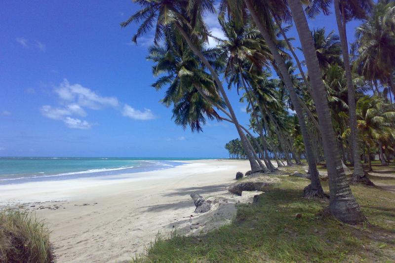 tour-to-carneiros-beach-with-catamaran-ride-1