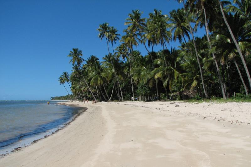 tour-to-carneiros-beach-with-catamaran-ride-4