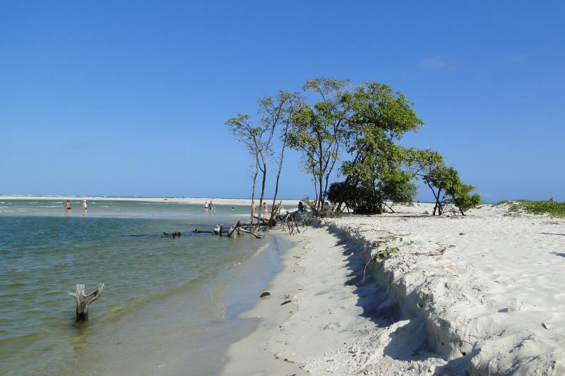tour-to-mundau-beach-4