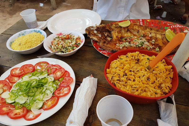 anavilhanas-archipelago-walking-in-manaus-2