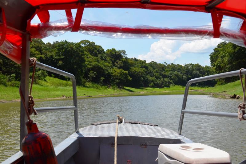 anavilhanas-archipelago-walking-in-manaus-3