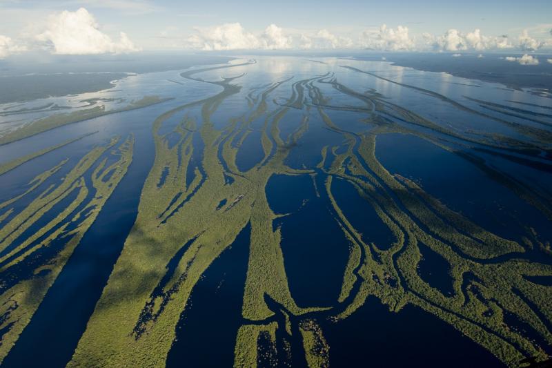 anavilhanas-archipelago-walking-in-manaus-5