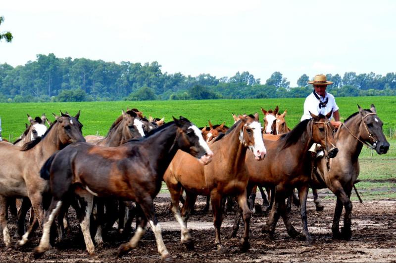 promo-buenos-aires-city-tour-gaucho-experience-5
