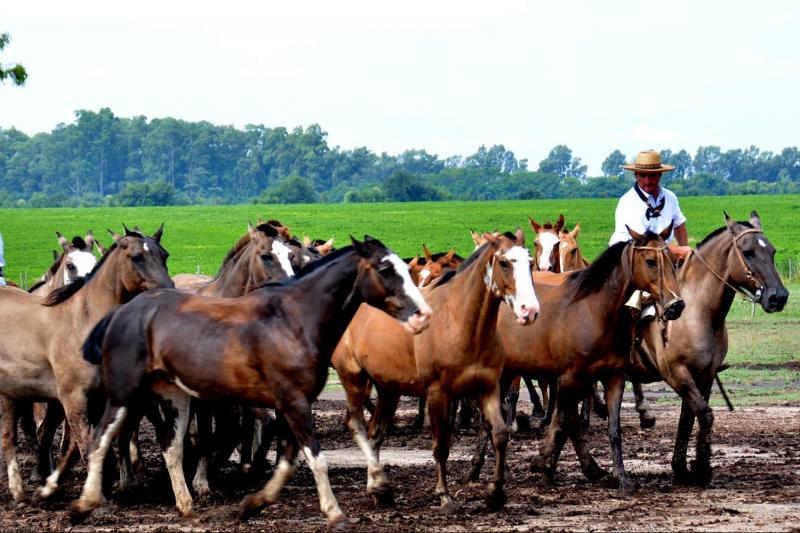 promo-buenos-aires-tigre-delta-gaucho-experienc-5