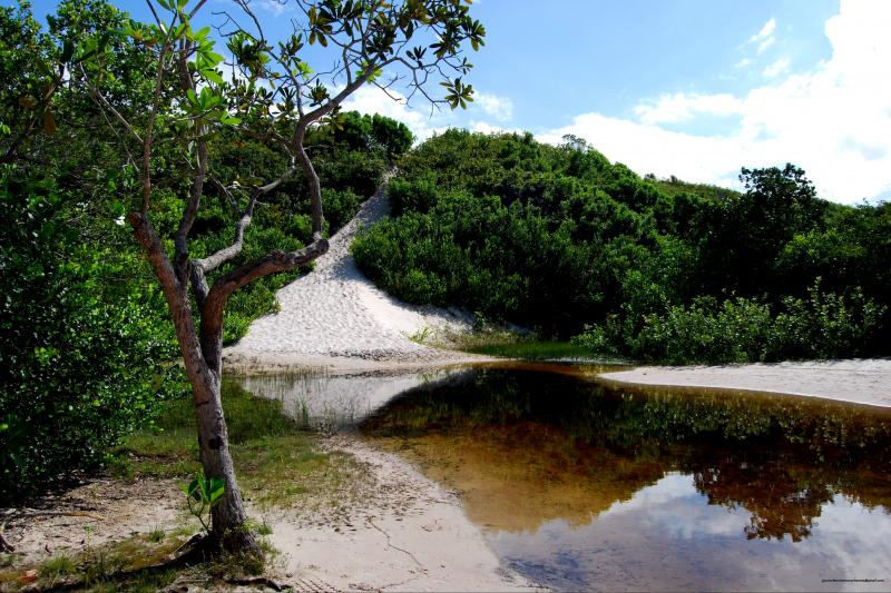 4x4-tour-to-lagoa-bonita-grandes-lencois-5