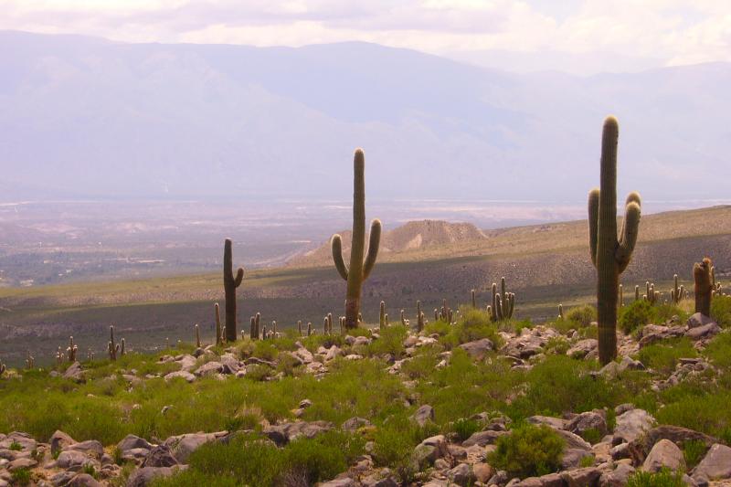 tafi-del-valle-day-tour-5