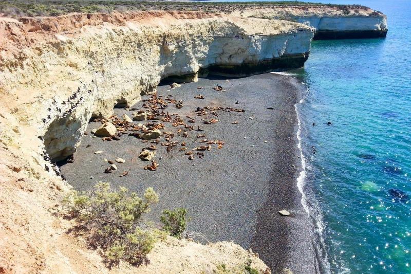 shore-excursion-puerto-madryn-city-tour-2