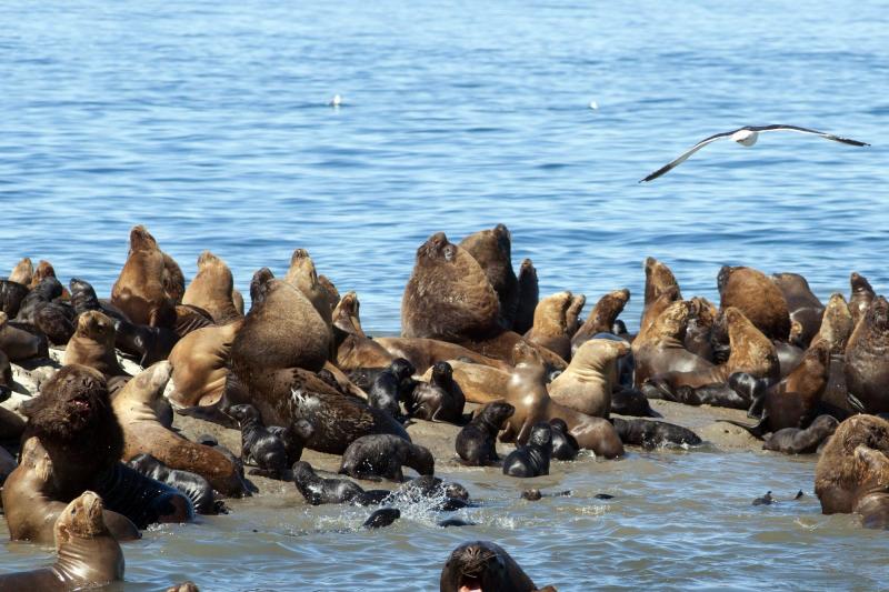 shore-excursion-puerto-madryn-city-tour-3