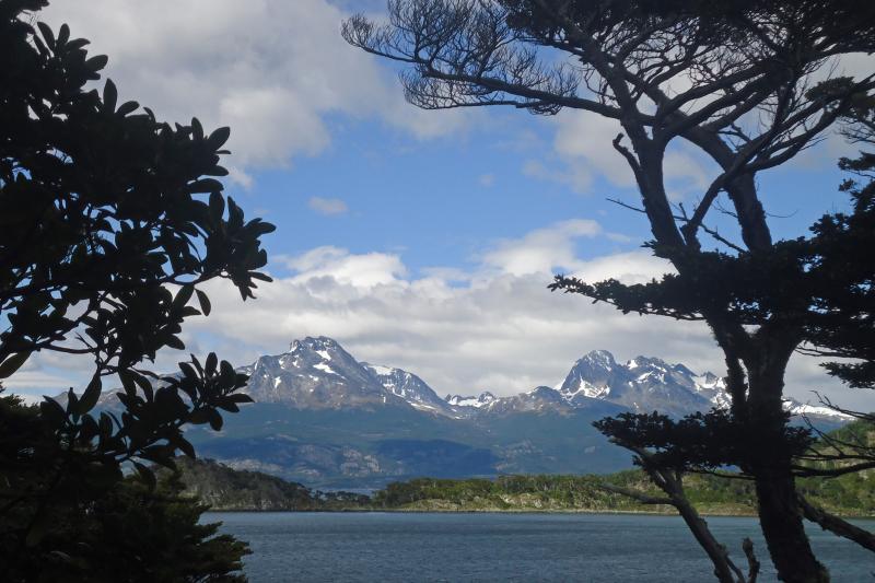 beagle-channel-sea-kayak-4